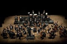 Orchestra Cantelli
